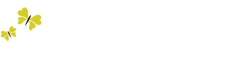 Amica Bridal Boutique 2